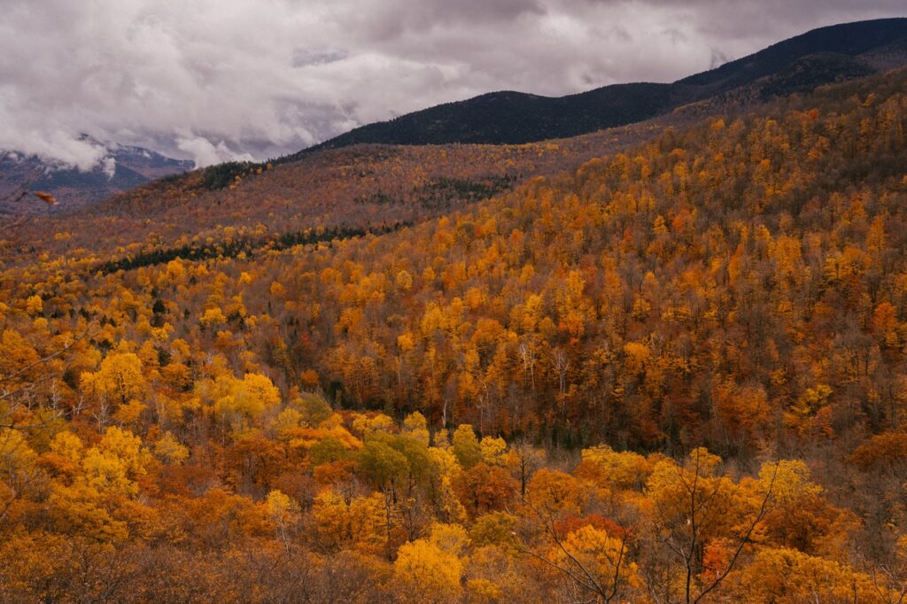 fall mountain range