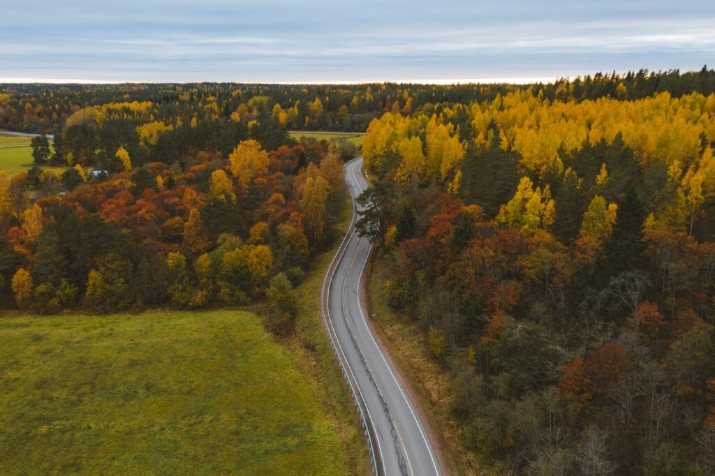 road winding through fall colored trees