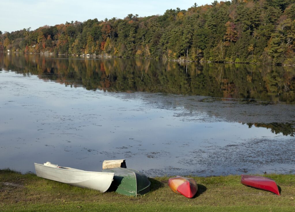 kayaks laying by side of lake with trees in the back