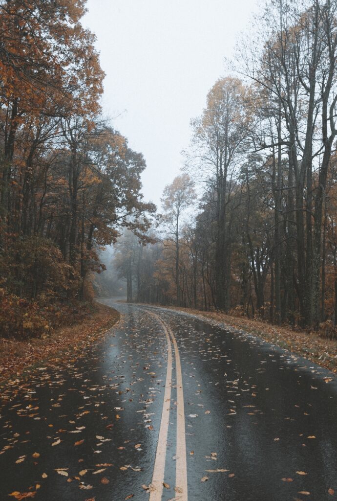 road on a foggy road