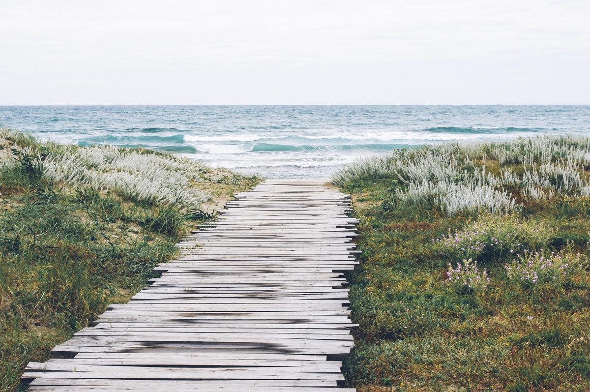 beach path to the ocean