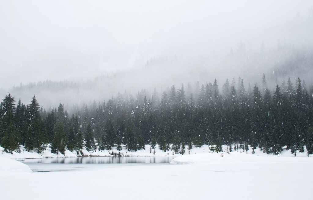 snowy day on pond by Adam Change via Unsplash
