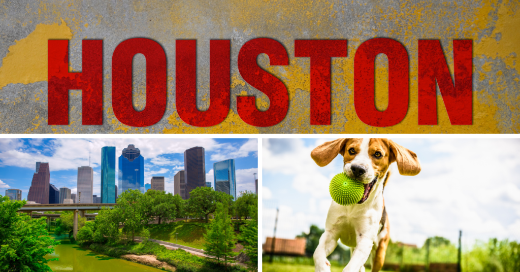Houston Veterinary Hospital for Sale