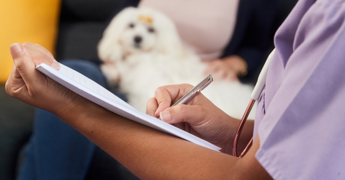 veterinarian taking noted on a clipboard