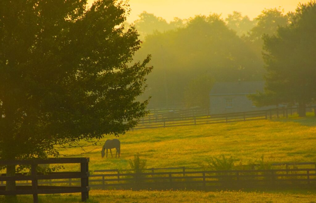 Lexington, KY horse country