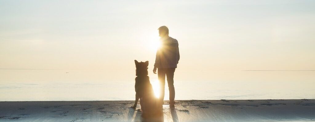retired veterinarian and dog in the sunset