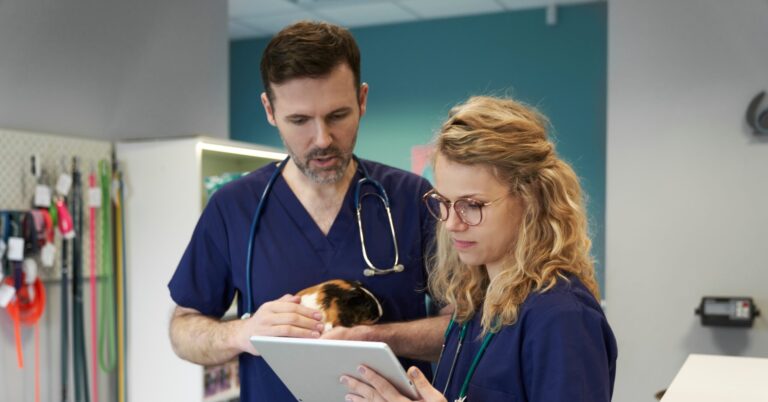 Two veterinarians make a decision together.